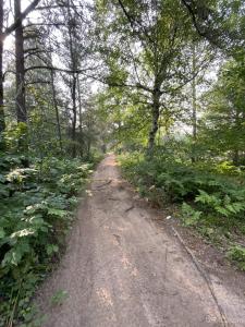 1591 E Millyard, Gwinn, מישיגן 49841, ארצות הברית של אמריקה 