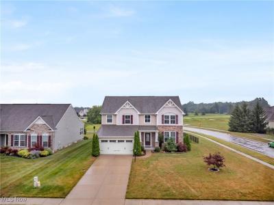 437 U S Grant Street, LaGrange, 俄亥俄州 44050, 美国