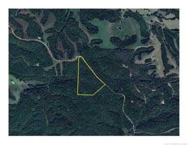 468000 E 595 Road, Westville, Oklahoma 74965, États-Unis