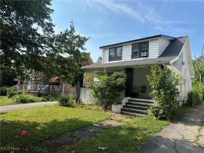 8115 Bancroft Avenue, Cleveland, Ohio 44105, USA