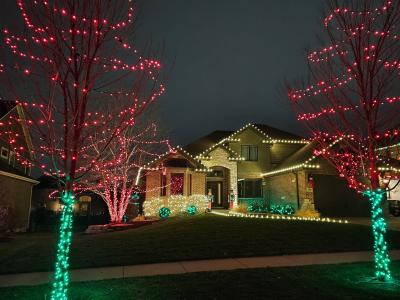 20042 Brendan Street, Frankfort, Illinois 60423