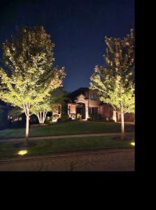 20042 Brendan Street, Frankfort, Illinois 60423