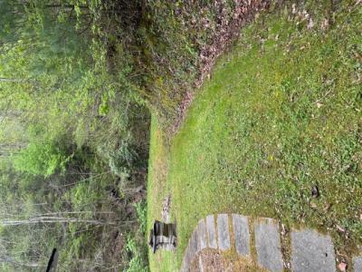 3911 Middlefork Road, Warbranch, Kentucky 40874, USA