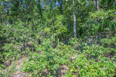 010-00817-000 WICK ROAD, Briarcliff, Arkansas 72653, Estados Unidos