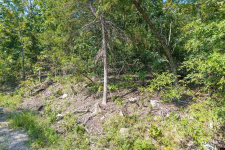 010-00817-000 WICK ROAD, Briarcliff, Arkansas 72653, Estados Unidos