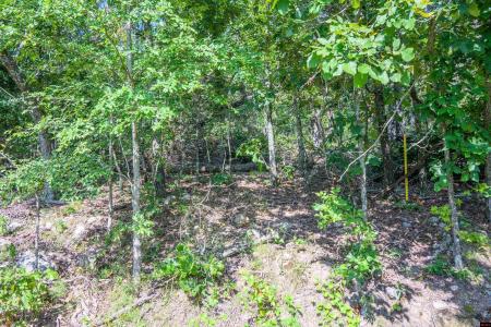 010-00817-000 WICK ROAD, Briarcliff, Arkansas 72653, Estados Unidos