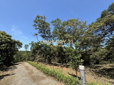 蕃薯段, Tamsui Dist., 新北市 251, 台灣