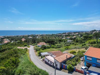 Figueira Da Foz, 科英布拉 3080, 葡萄牙