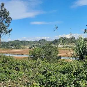 Vagos, Aveiro 3840-402, Portugal