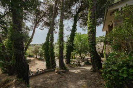 Madrid, Comunidad De Madrid 28696, Tây Ban Nha