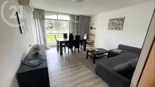 לוי אשכול, Jerusalem, Israel