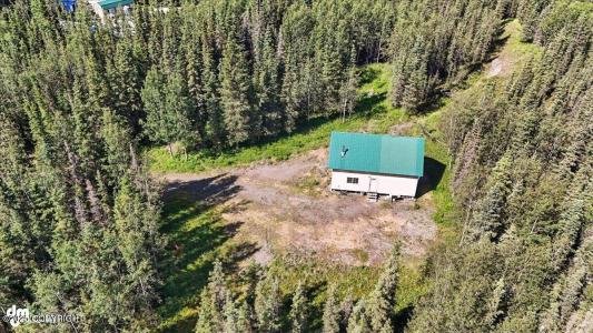 53090 Borealis Avenue, Kasilof, Alaska 99610