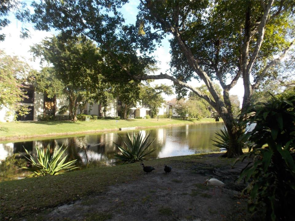 4245 Carambola Cir S #2699, Coconut Creek, Flórida 33066, Estados Unidos