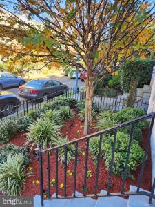 1530 Spring Place NW, ワシントン, Washington D.C. 20010, アメリカ合衆国