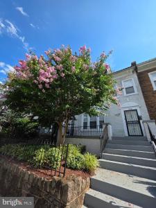 1530 Spring Place NW, Washington, DC 20010, USA