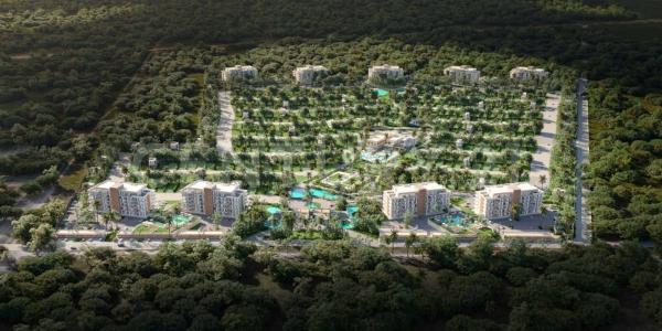 prolongación 115 sur SN,, Solidaridad / Riviera Maya, Quintana Roo 77710, Mexico