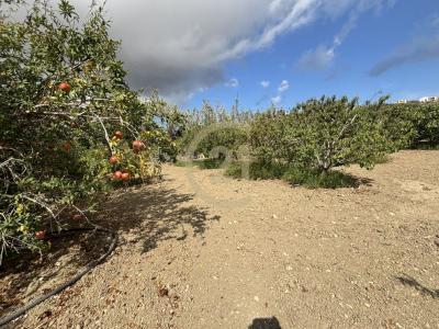 Gozo - Xewkija, 马尔他