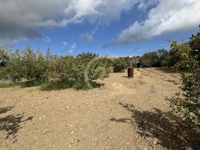 Gozo - Xewkija, 马尔他
