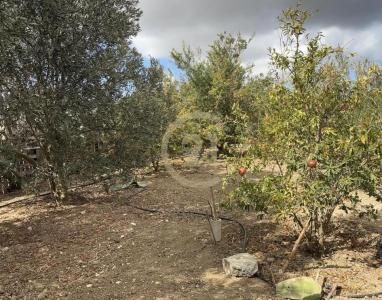 Gozo - Xewkija, 马尔他