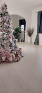 Gozo - Sannat, 马尔他