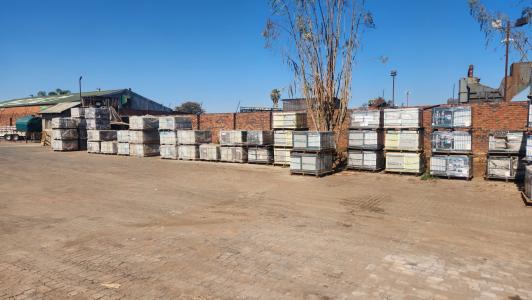 Polokwane, Limpopo, Republika Południowej Afryki
