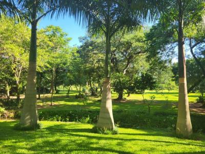 calle Hernandarias , Luque, Central 00001, 巴拉圭