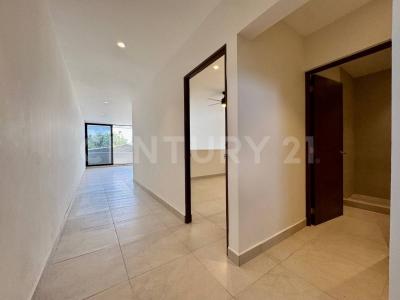 Chacmultun 4,, Cancún/Benito Juárez, Кинтана-Роо 77500, Мексика