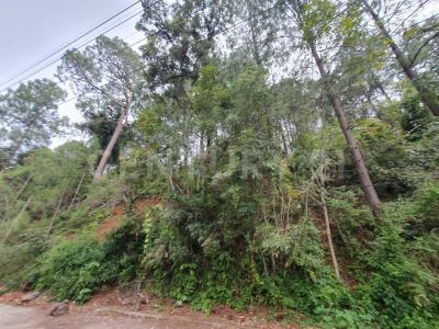 Valle De Bravo, メヒコ州 51200, メキシコ