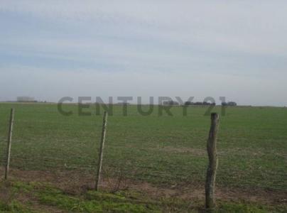 Chascomús, Buenos Aires (fuera De GBA) 00001, Argentina
