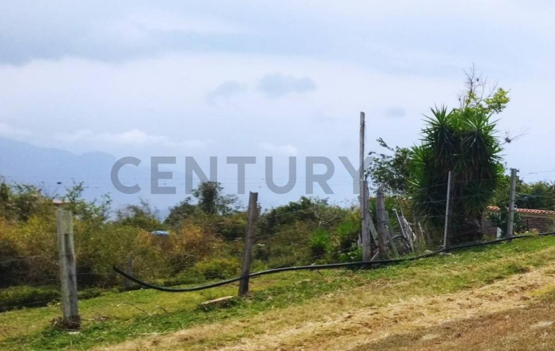 Capacho, Táchira 5009, Venezuela