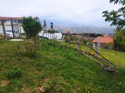 Capacho, Táchira 5009, Venezuela