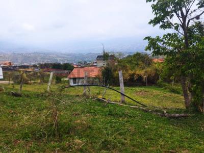 Capacho, Táchira 5009, Venezuela