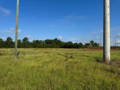 East Lamar Street West side, Americus, 喬治亞州 31709, 美國