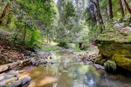 19455 Hogback Road, Nevada City, 加州 95959, 美國