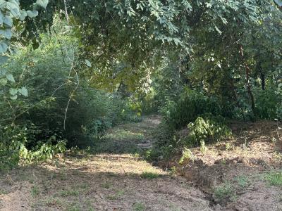 000 Leftwich Lane, Booneville, Арканзас 72927, Соединенные Штаты