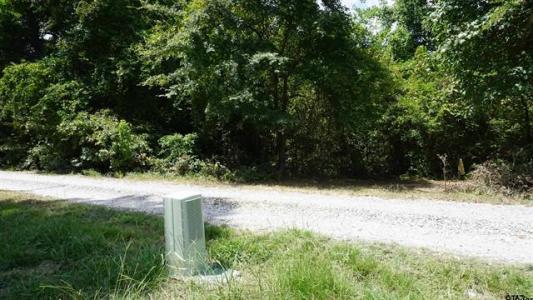 TBD Private Road 7907, Hawkins, Texas 75765, Estados Unidos