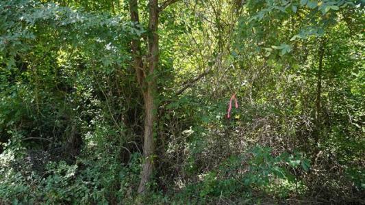 TBD Private Road 7907, Hawkins, Texas 75765, Estados Unidos