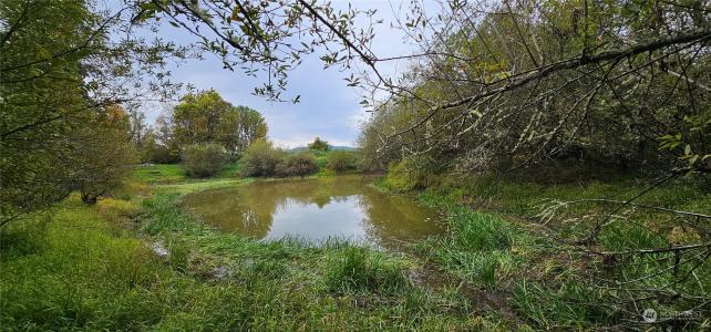 620 Boistfort Road, Curtis, Washington 98538, USA