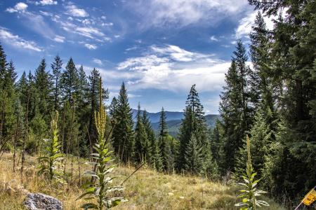 998 Lightning Peak Rd, Sandpoint, Idaho 83864, Estados Unidos