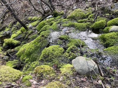 998 Lightning Peak Rd, Sandpoint, Idaho 83864, Estados Unidos