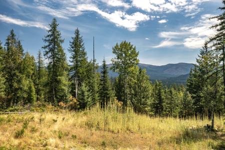 998 Lightning Peak Rd, Sandpoint, Idaho 83864, Estados Unidos