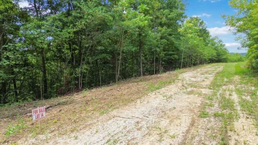 11 Genes Rd, Somerset, Kentucky 42501, USA