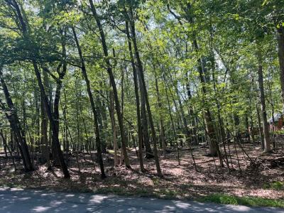 348 Gold Key Road, Milford, Pensylwania 18337, USA