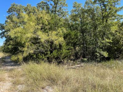 TBD FM 2127, Bowie, 得克萨斯州 76230, 美国