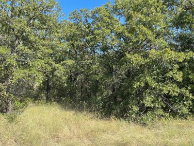 TBD FM 2127, Bowie, 得克萨斯州 76230, 美国