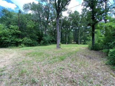 136 Buffalo Springs Road, Mabank, Texas 75156, Stati Uniti