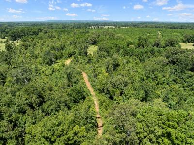 TBD FM 225 S., Laneville, Texas 75667, États-Unis