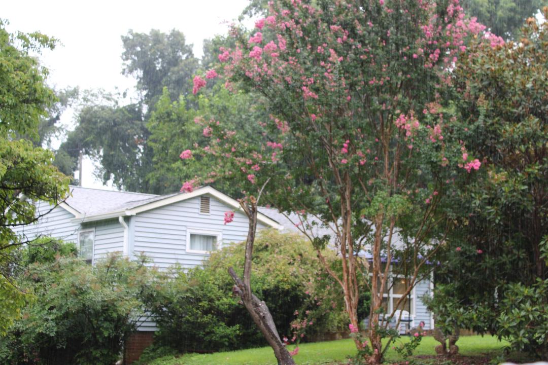 587 Alamo Street, Spartanburg, Carolina Do Sul 29303, Estados Unidos