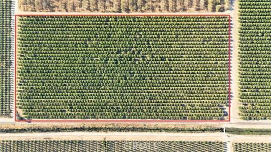 Rd 18 & Ave 16, Madera, كاليفورنيا 93637, الولايات المتحدة