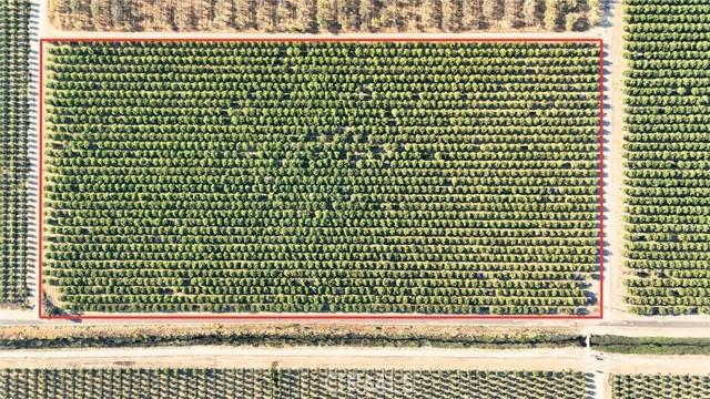 Rd 18 & Ave 16, Madera, Califórnia 93637, Estados Unidos